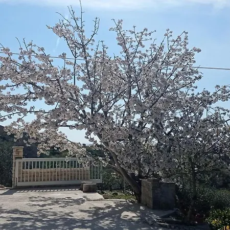 Tina Apartmán Ražanac